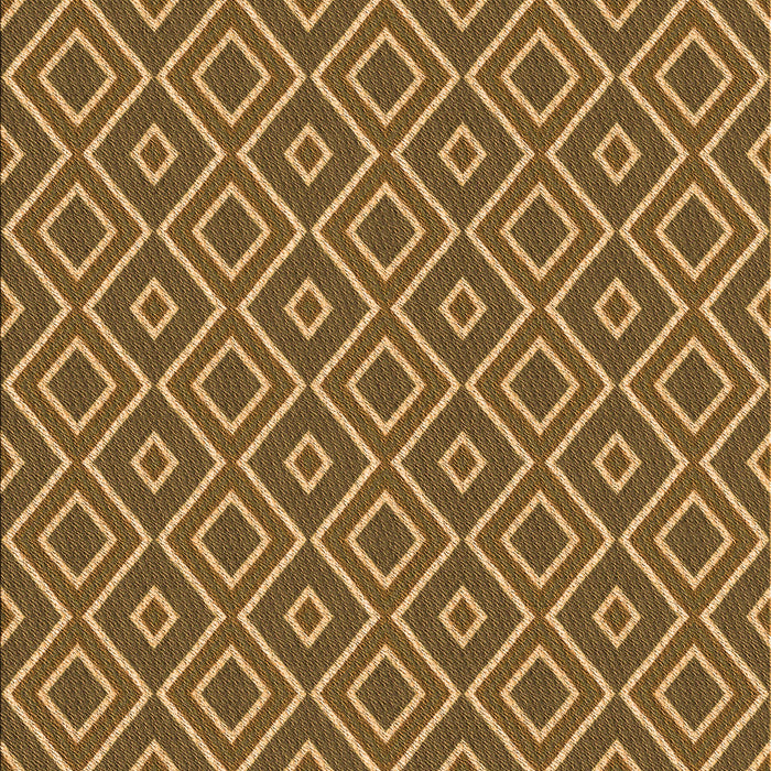 Machine Washable Transitional Dark Bronze Brown Rug, wshpat1208org