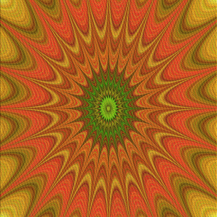 Machine Washable Transitional Red Rug, wshpat121yw