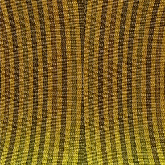 Machine Washable Transitional Dark Bronze Brown Rug, wshpat1210yw