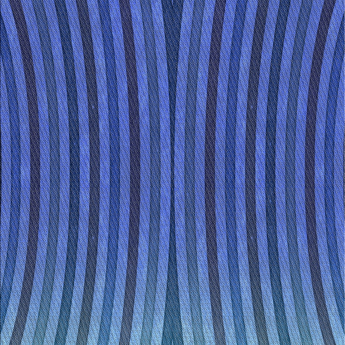 Machine Washable Transitional Blueberry Blue Rug, wshpat1210