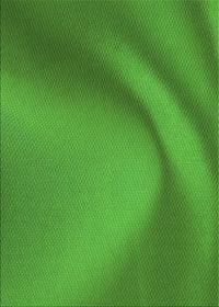 Machine Washable Transitional Green Rug, wshpat1212grn