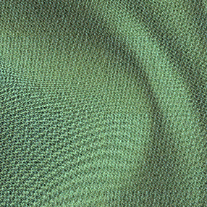 Patterned Medium Forest Green Rug, pat1212lblu