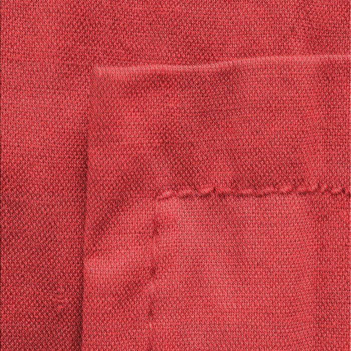 Patterned Red Rug, pat1216rd