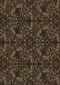 Machine Washable Transitional Brown Rug, wshpat1218brn