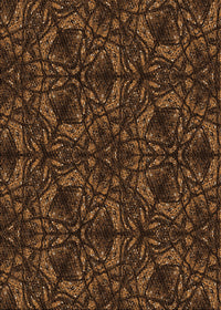 Machine Washable Transitional Black Brown Rug, wshpat1218org