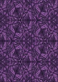 Machine Washable Transitional Dark Orchid Purple Rug, wshpat1218pur