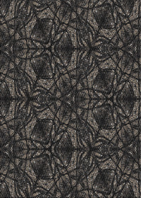 Machine Washable Transitional Black Rug, wshpat1218