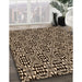 Machine Washable Transitional Black Brown Rug in a Family Room, wshpat1221org