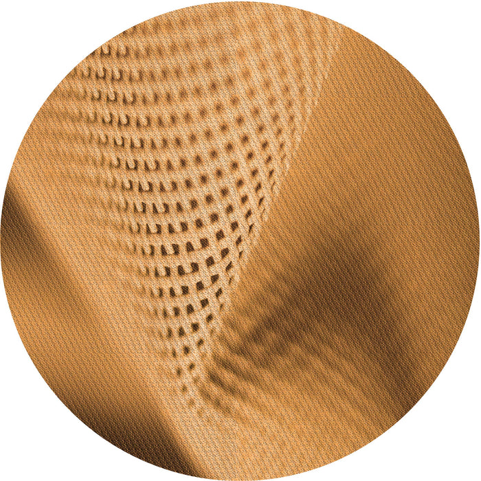 Square Machine Washable Transitional Mahogany Brown Rug in a Living Room, wshpat1223org