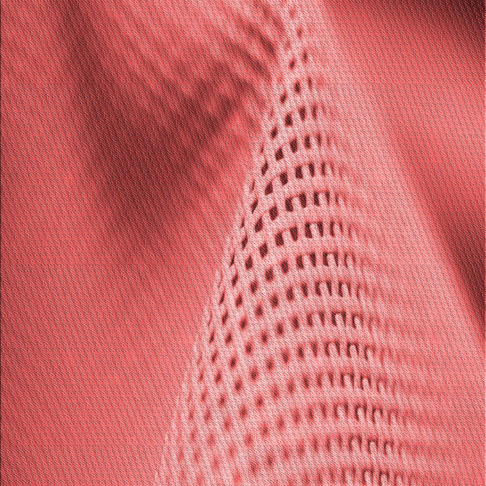 Machine Washable Transitional Red Rug, wshpat1223rd