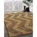 Machine Washable Transitional Metallic Gold Rug in a Family Room, wshpat1225