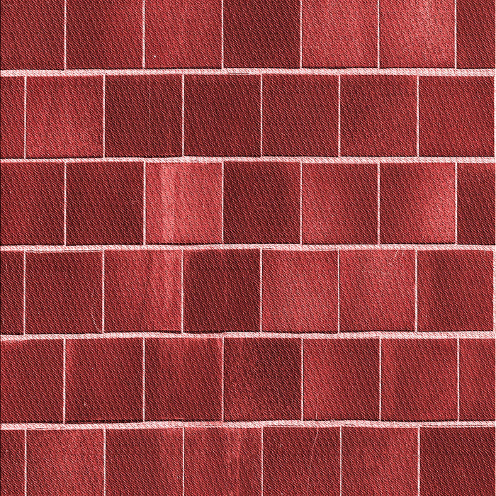 Patterned Red Rug, pat1226rd