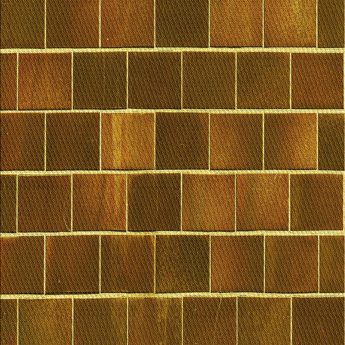 Machine Washable Transitional Red Brown Rug, wshpat1226yw