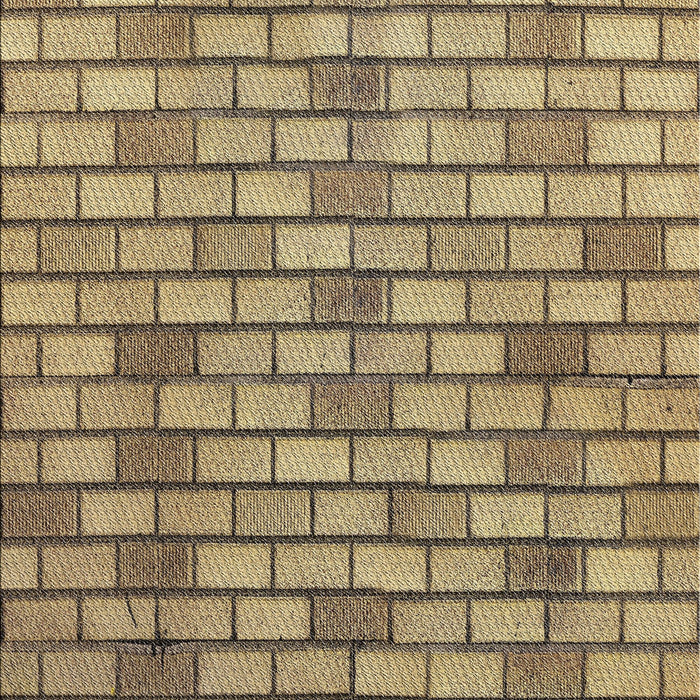 Patterned Reddish Brown Novelty Rug, pat1227