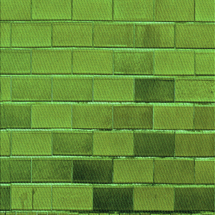 Patterned Seaweed Green Rug, pat1229grn