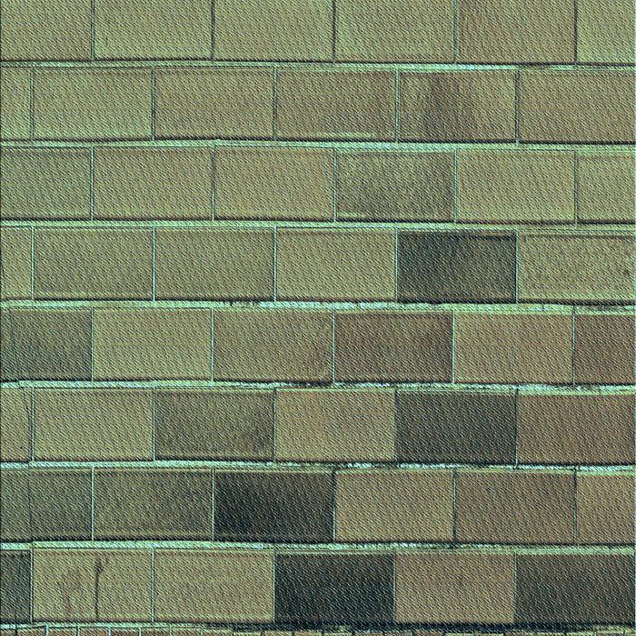 Patterned Dollar Bill Green Rug, pat1229lblu