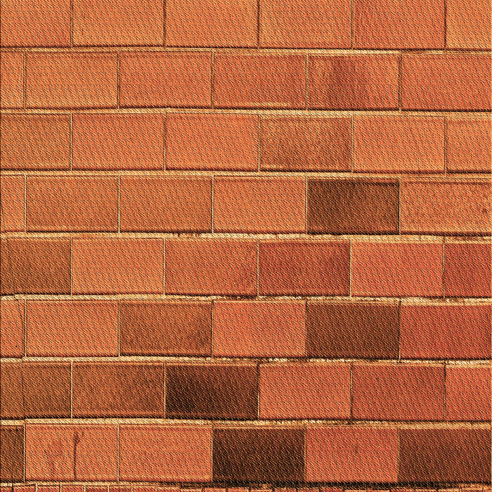 Machine Washable Transitional Neon Orange Rug, wshpat1229org