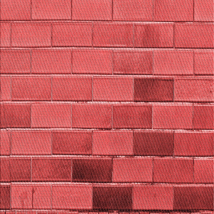 Patterned Red Rug, pat1229rd