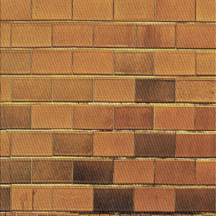 Patterned Orange Novelty Rug, pat1229