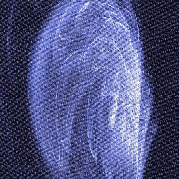 Machine Washable Transitional Night Blue Rug, wshpat1234blu