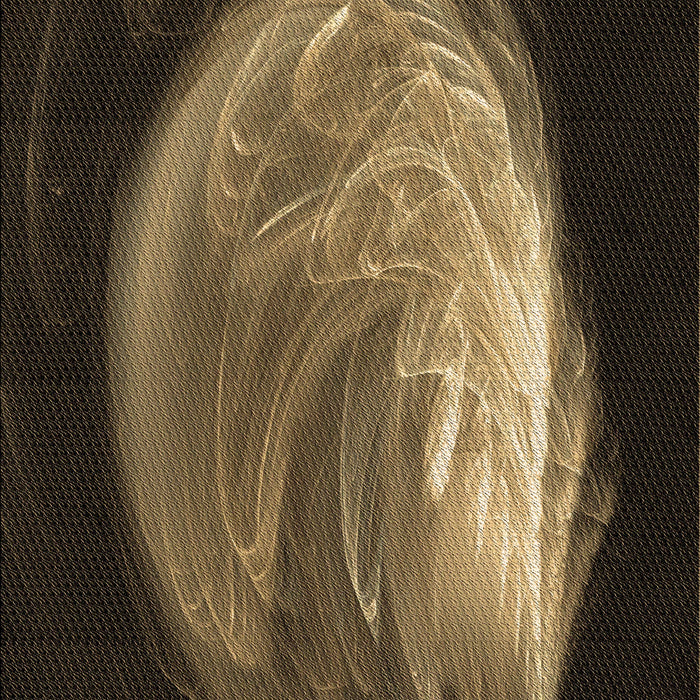 Machine Washable Transitional Light Brown Rug, wshpat1234brn