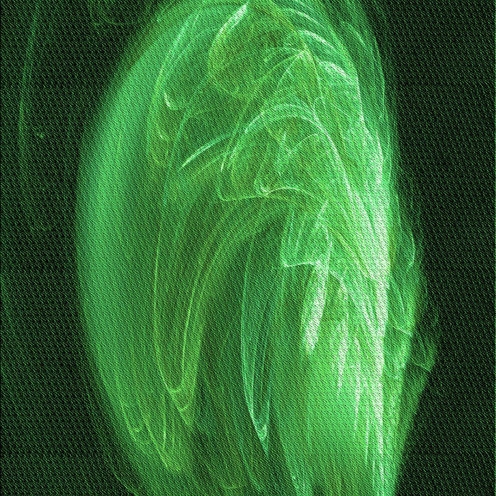 Machine Washable Transitional Dark Forest Green Rug, wshpat1234grn