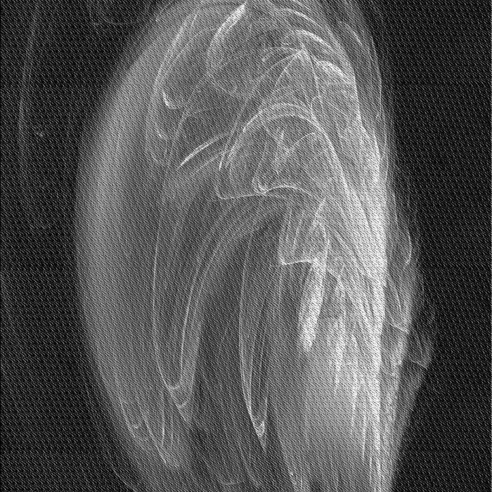 Machine Washable Transitional Platinum Gray Rug, wshpat1234gry