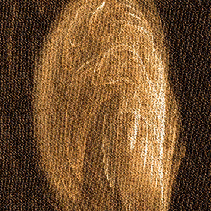 Machine Washable Transitional Black Brown Rug, wshpat1234org