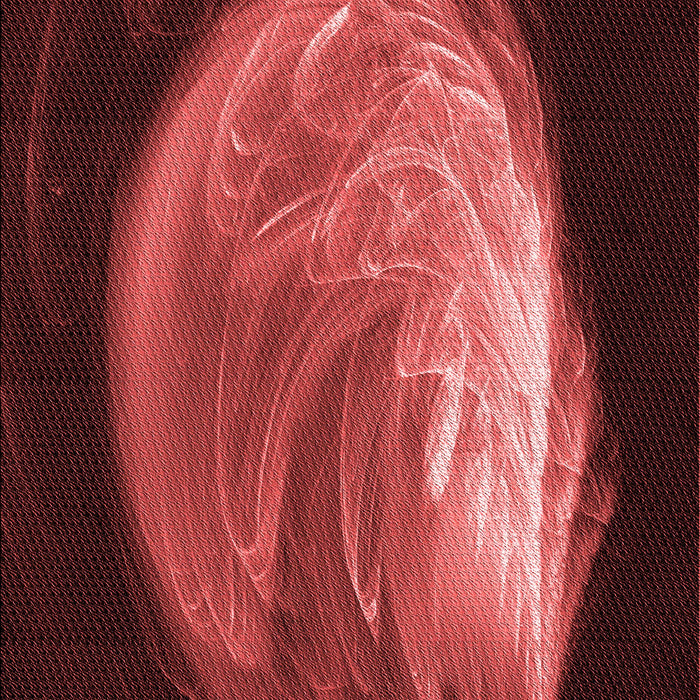 Machine Washable Transitional Red Rug, wshpat1234rd