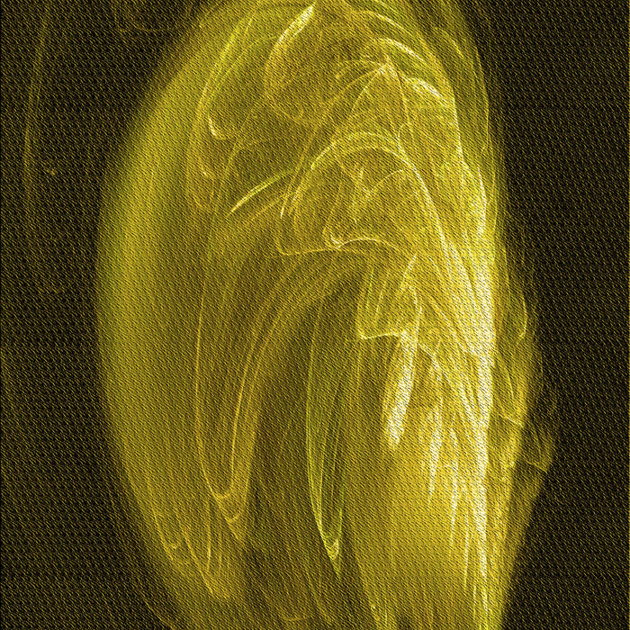 Machine Washable Transitional Black Brown Rug, wshpat1234yw