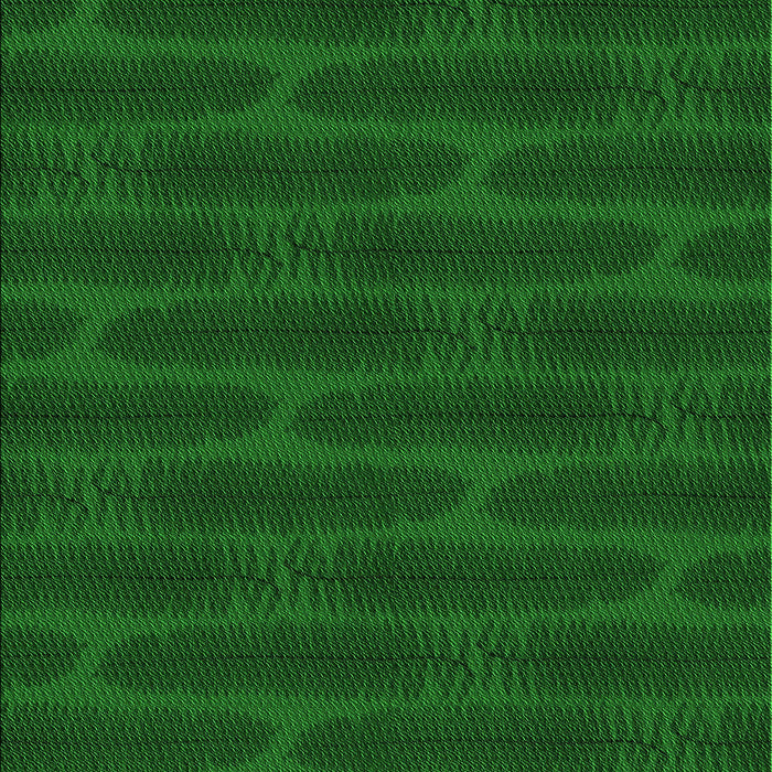 Machine Washable Transitional Green Rug, wshpat1236grn