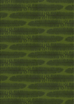 Patterned Dark Forest Green Novelty Rug, pat1236