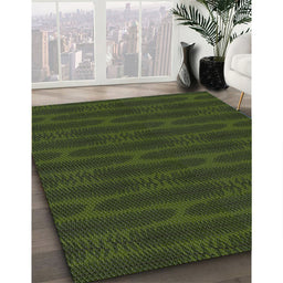 Machine Washable Transitional Dark Forest Green Rug in a Family Room, wshpat1236