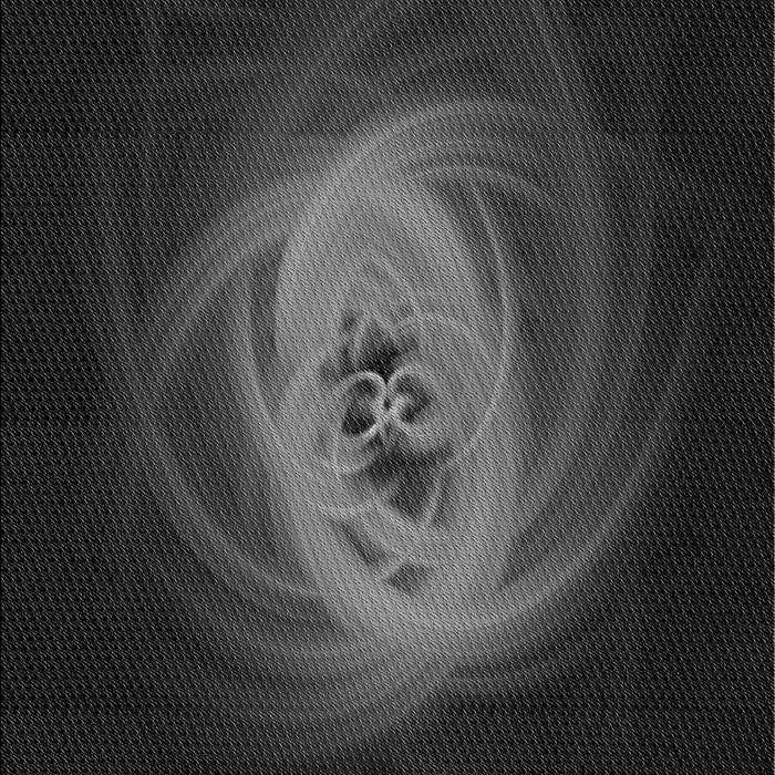 Patterned Midnight Gray Rug, pat1237gry