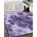 Machine Washable Transitional Purple Mimosa Purple Rug in a Family Room, wshpat1238blu