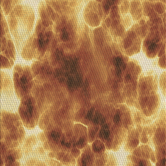 Machine Washable Transitional Orange Rug, wshpat1238brn