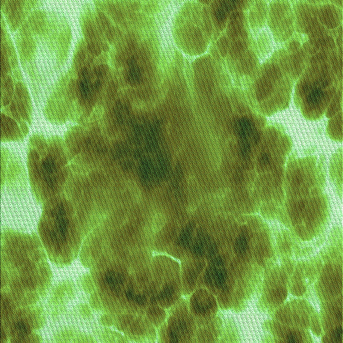 Machine Washable Transitional Green Rug, wshpat1238grn