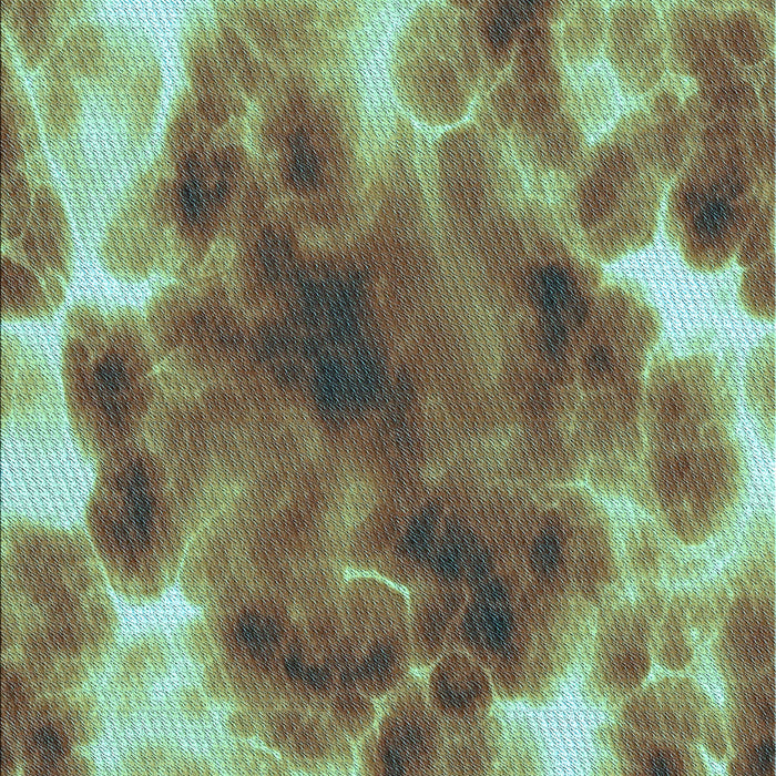 Machine Washable Transitional Oak Brown Rug, wshpat1238lblu