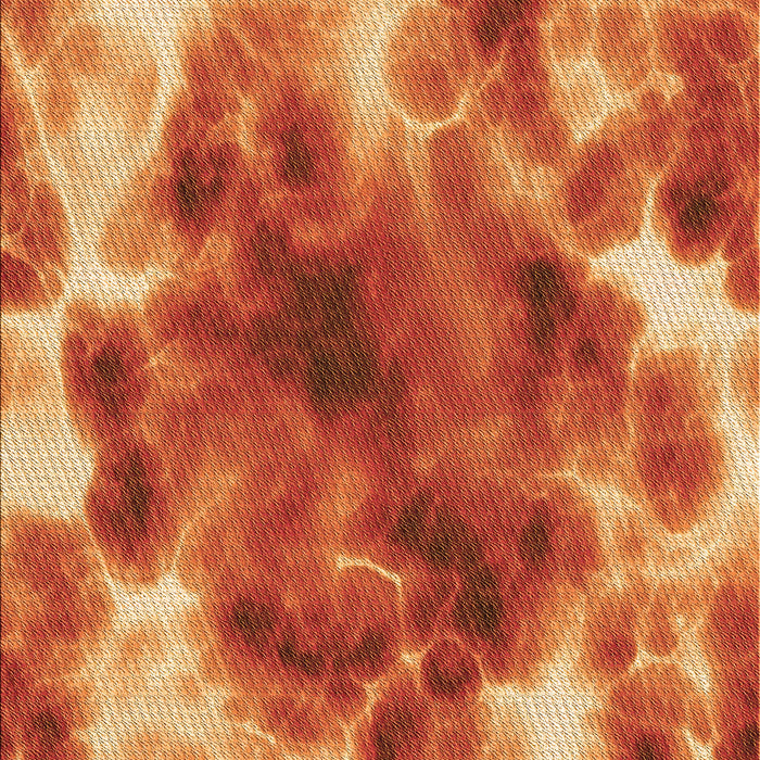 Machine Washable Transitional Orange Rug, wshpat1238org