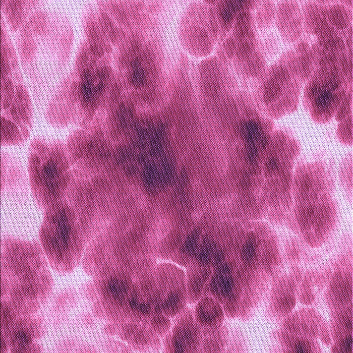 Machine Washable Transitional Violet Purple Rug, wshpat1238pur