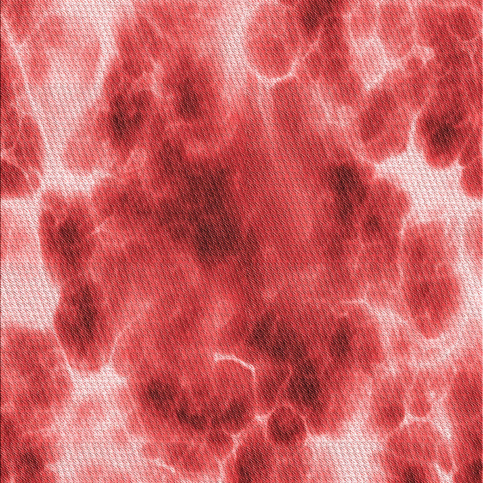 Patterned Red Rug, pat1238rd