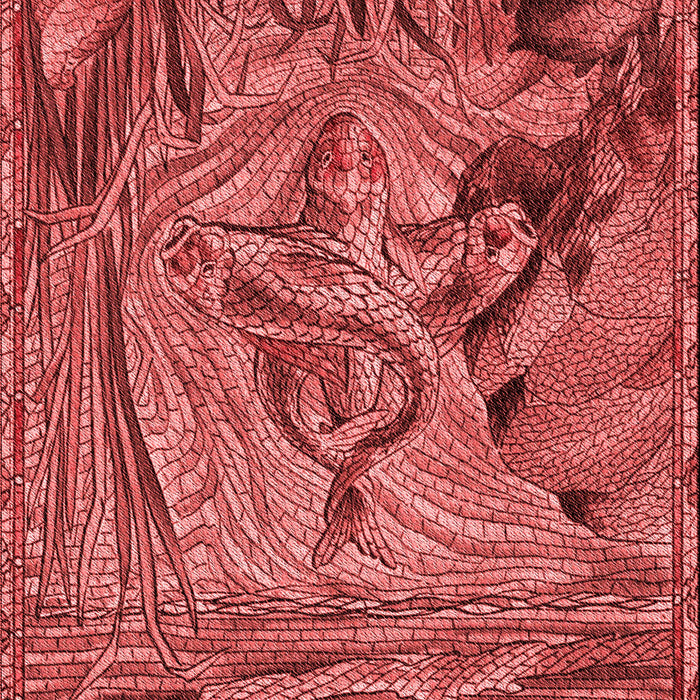 Machine Washable Transitional Red Rug, wshpat1239rd