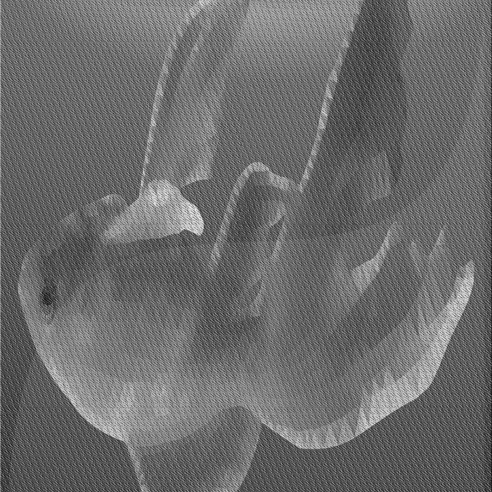 Patterned Gray Rug, pat1241gry