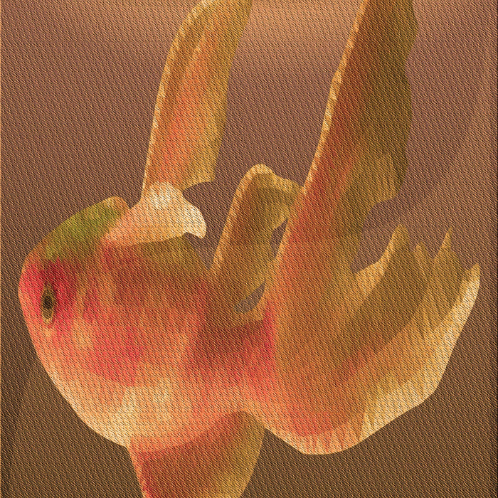 Machine Washable Transitional Orange Rug, wshpat1241org