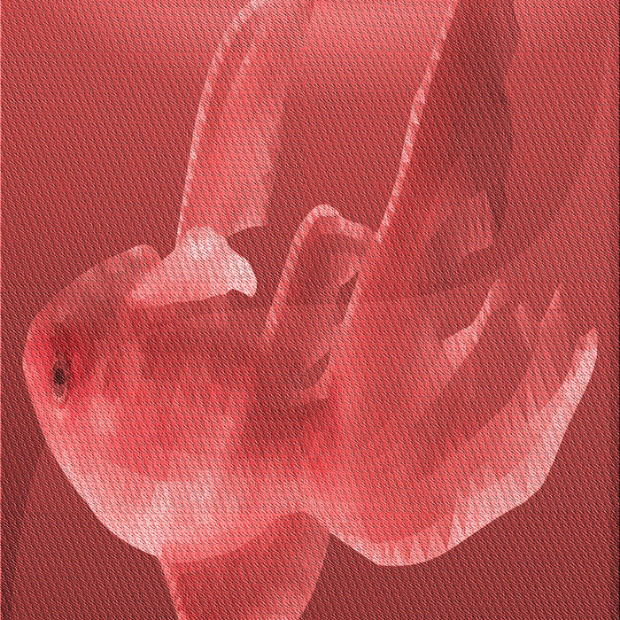 Patterned Orange Rug, pat1241rd