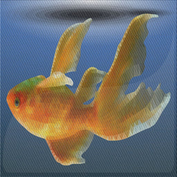 Sideview of Machine Washable Transitional Gray Rug, wshpat1241