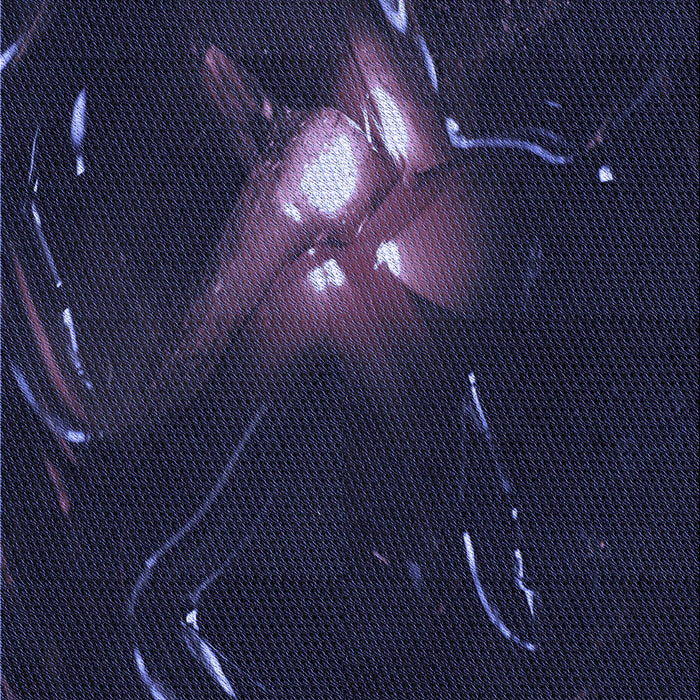 Machine Washable Transitional Night Blue Rug, wshpat1242blu