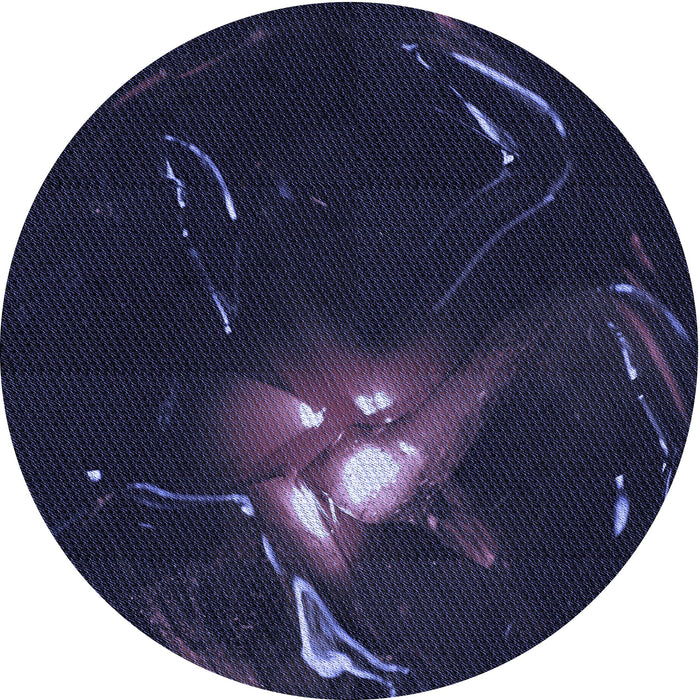 Square Machine Washable Transitional Night Blue Rug in a Living Room, wshpat1242blu