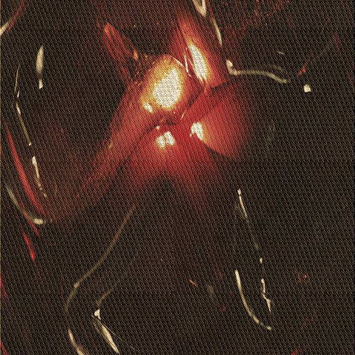 Machine Washable Transitional Black Brown Rug, wshpat1242brn