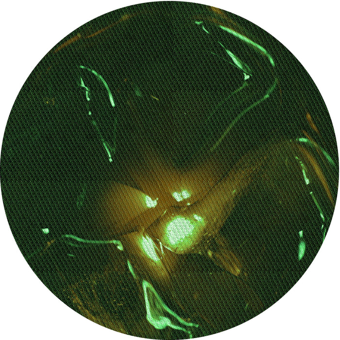 Square Machine Washable Transitional Black Rug in a Living Room, wshpat1242grn